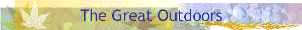 greatoutdoorsbnr.gif (15590 bytes)