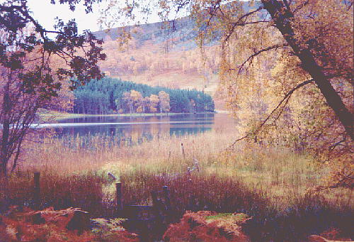 lochpilgoulish.jpg (56399 bytes)
