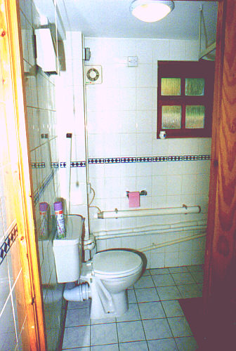 showerwc.jpg (55715 bytes)