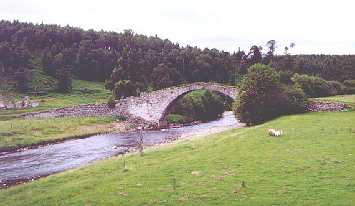 slugganbr001.jpg (36114 bytes)